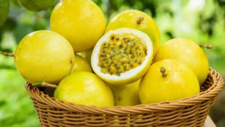 黄金百香果的功效与作用、禁忌和食用方法