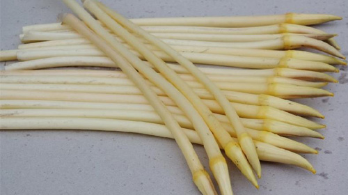 藕带的功效与作用、禁忌和食用方法