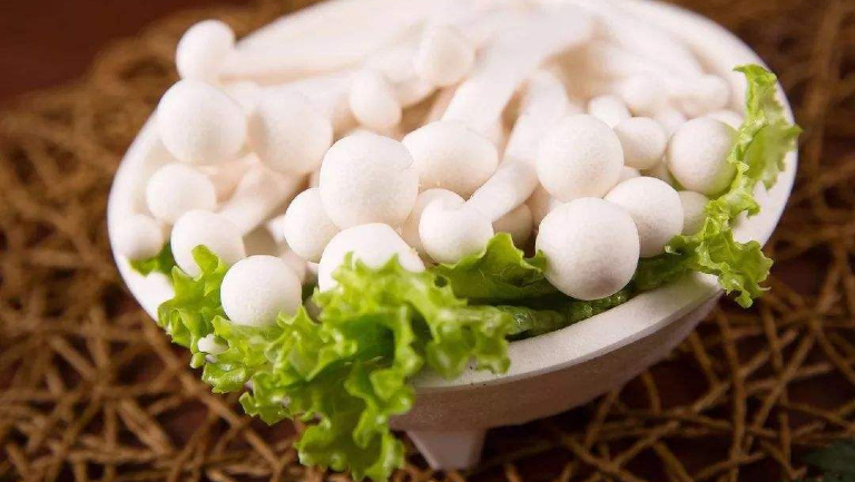 菌类的功效与作用、禁忌和食用方法