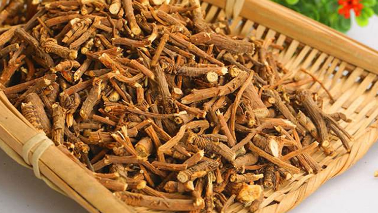 柴胡根的功效与作用、禁忌和食用方法