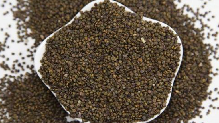 盐沙苑子的功效与作用、禁忌和食用方法