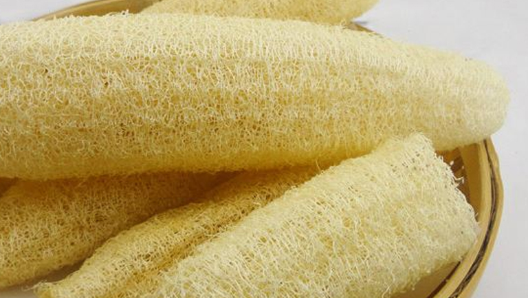 老丝瓜筋的功效与作用、禁忌和食用方法