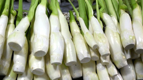 茭白的功效与作用、禁忌和食用方法