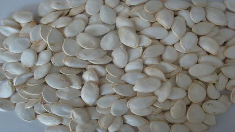 南瓜籽的功效与作用、禁忌和食用方法