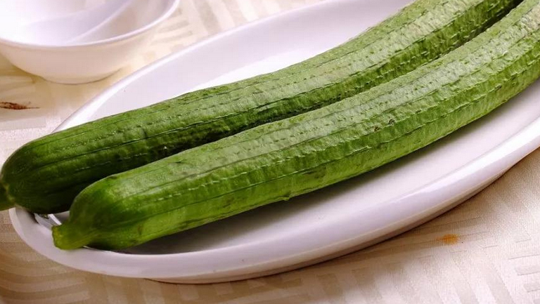 丝瓜根水的功效与作用、禁忌和食用方法