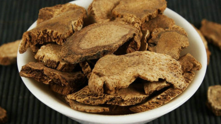 藏木香的功效与作用、禁忌和食用方法