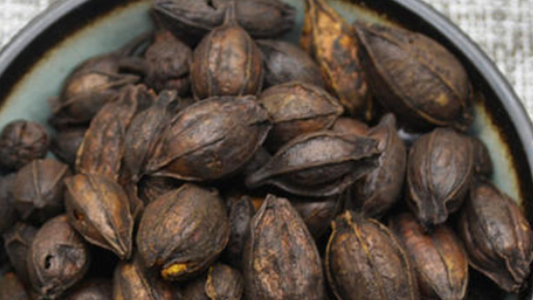 栀子炭的功效与作用、禁忌和食用方法