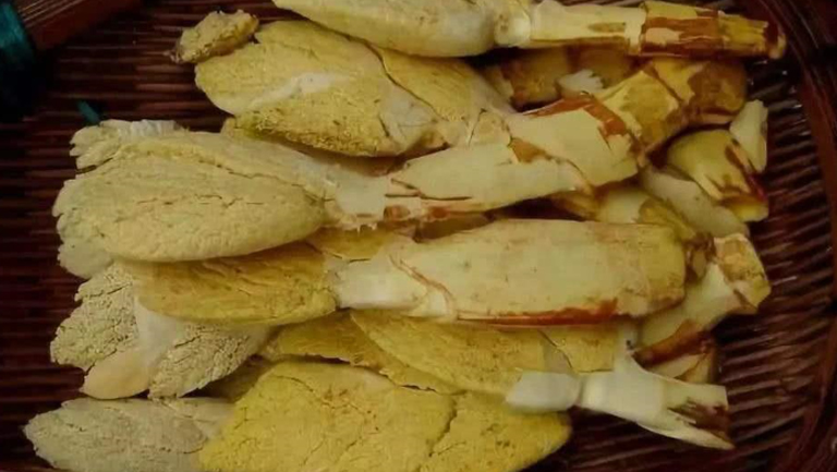 棕包的功效与作用、禁忌和食用方法