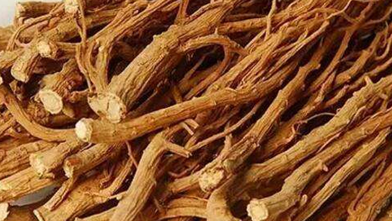 北柴胡的功效与作用、禁忌和食用方法