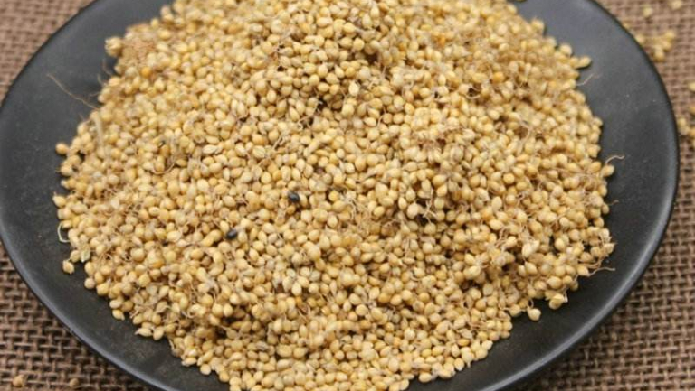 谷芽的功效与作用、禁忌和食用方法