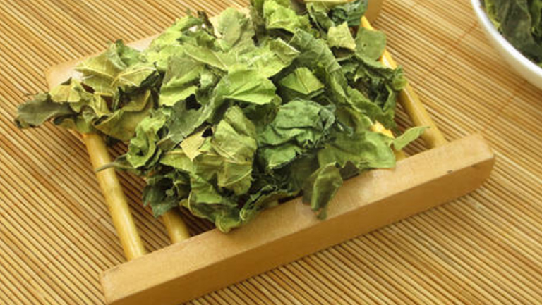 干桑叶的功效与作用、禁忌和食用方法