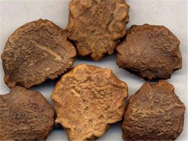 木鳖子的功效与作用、禁忌和食用方法