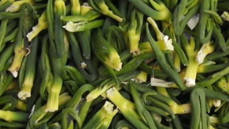 莲心的功效与作用、禁忌和食用方法