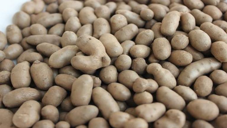 山药豆的功效与作用、禁忌和食用方法