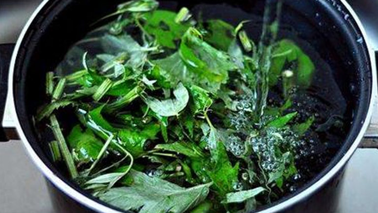 艾叶水的功效与作用、禁忌和食用方法