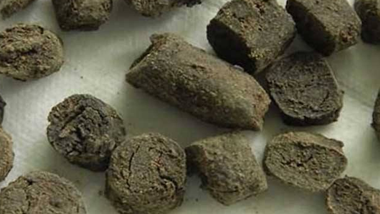 胆星的功效与作用、禁忌和食用方法