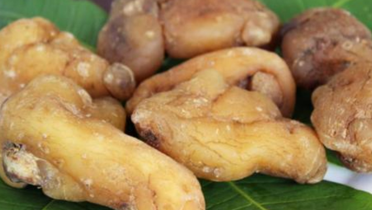 滇黄精的功效与作用、禁忌和食用方法