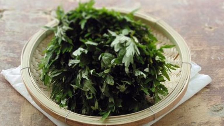 陈艾叶水的功效与作用、禁忌和食用方法
