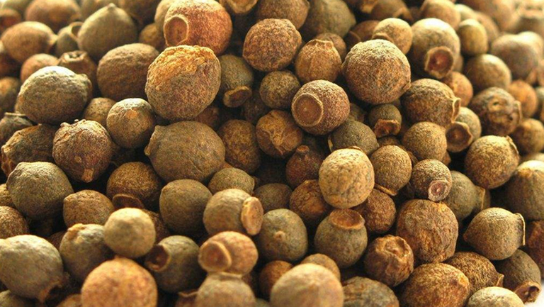香果的功效与作用、禁忌和食用方法