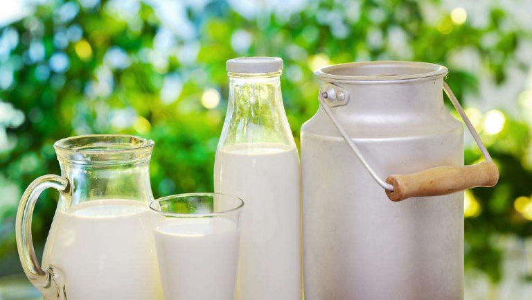 纯牛奶的功效与作用、禁忌和食用方法