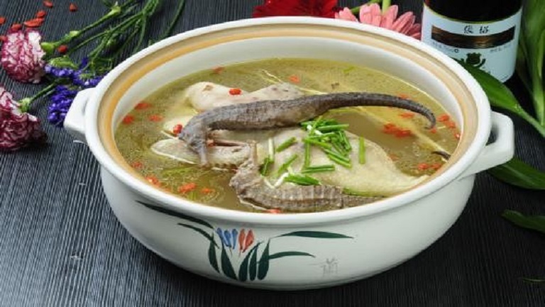 海马汤的功效与作用、禁忌和食用方法