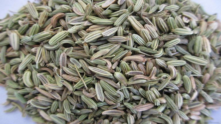 小茴香的功效与作用、禁忌和食用方法