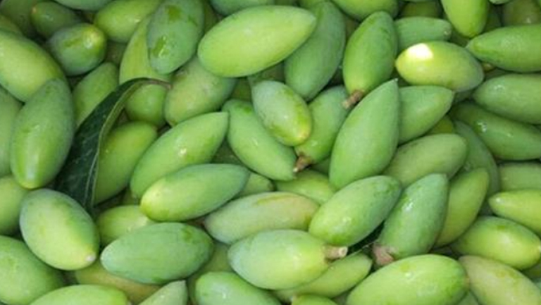 橄榄果的功效与作用、禁忌和食用方法