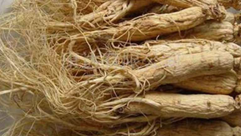 人参的功效与作用、禁忌和食用方法
