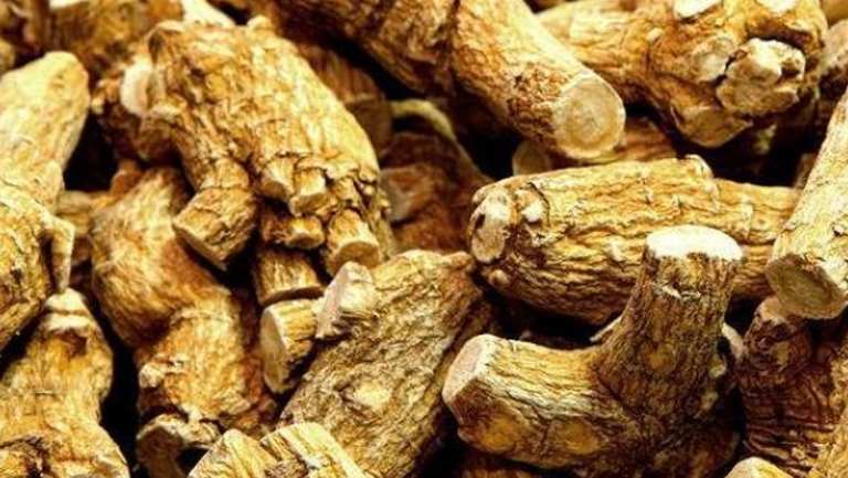 洋参的功效与作用、禁忌和食用方法