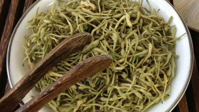 金银花茶的功效与作用、禁忌和食用方法