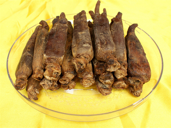 别直参的功效与作用、禁忌和食用方法