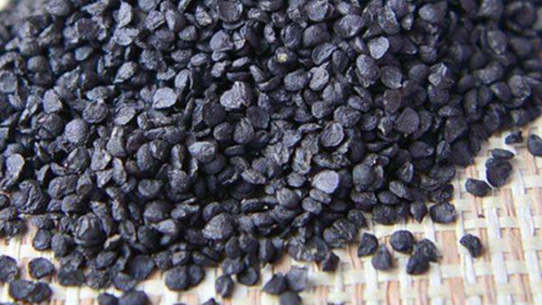 大葱籽的功效与作用、禁忌和食用方法