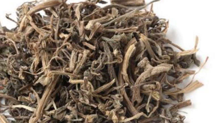 马齿苋茶的功效与作用、禁忌和食用方法