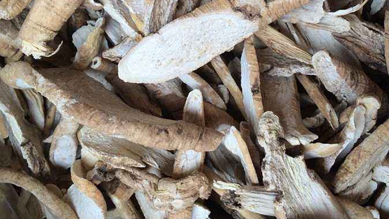 隔山消的功效与作用、禁忌和食用方法
