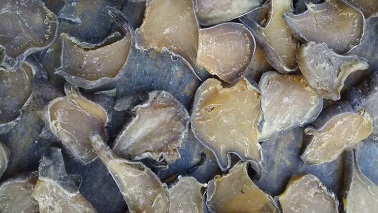 生附子的功效与作用、禁忌和食用方法