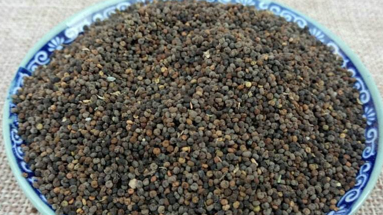 白花菜子的功效与作用、禁忌和食用方法
