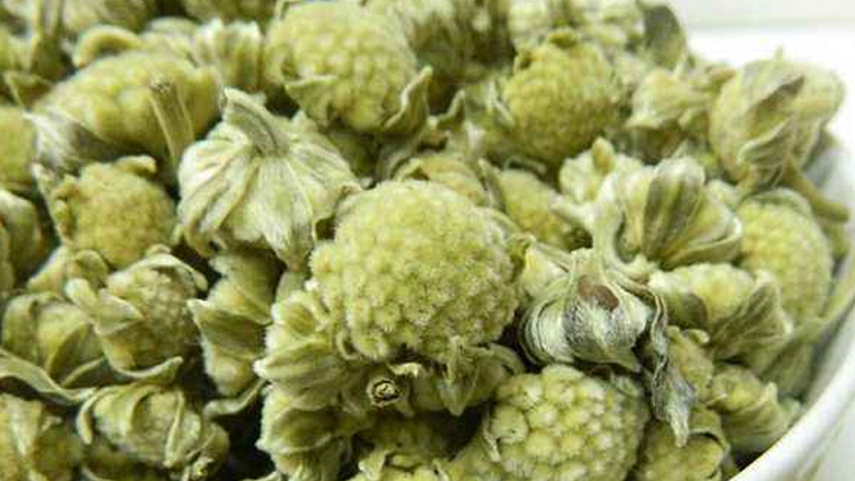 绿萝花茶的功效与作用、禁忌和食用方法