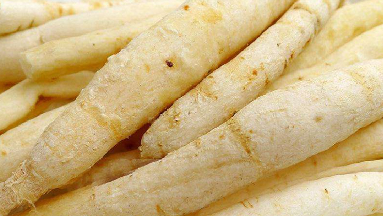 川明参的功效与作用、禁忌和食用方法