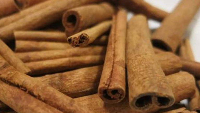 玉桂皮的功效与作用、禁忌和食用方法