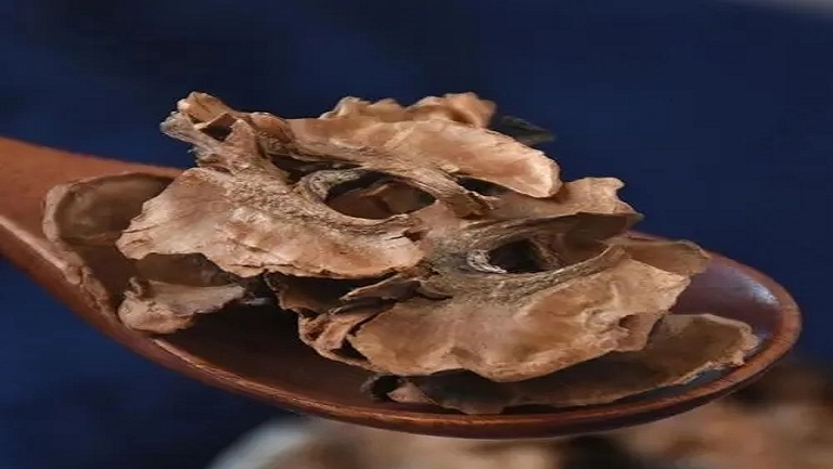 隔心木的功效与作用、禁忌和食用方法