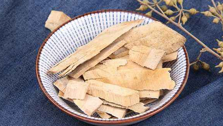 鹰不扑的功效与作用、禁忌和食用方法