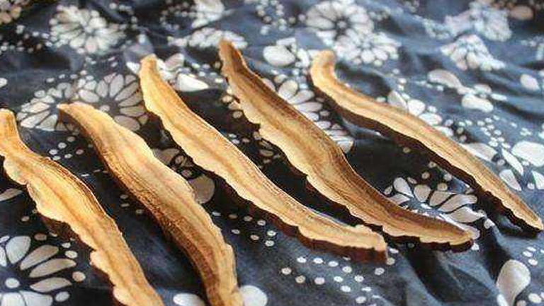 须元芝的功效与作用、禁忌和食用方法