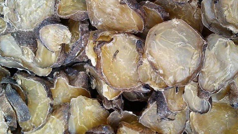 生附片的功效与作用、禁忌和食用方法