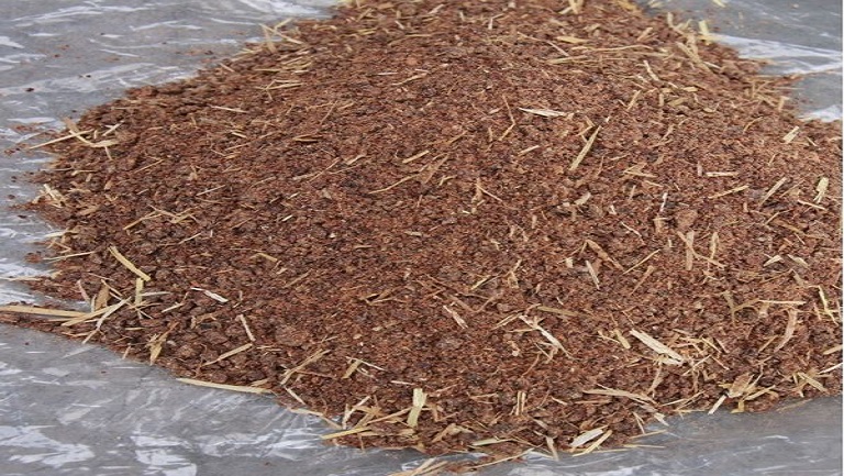 茶麸的功效与作用、禁忌和食用方法