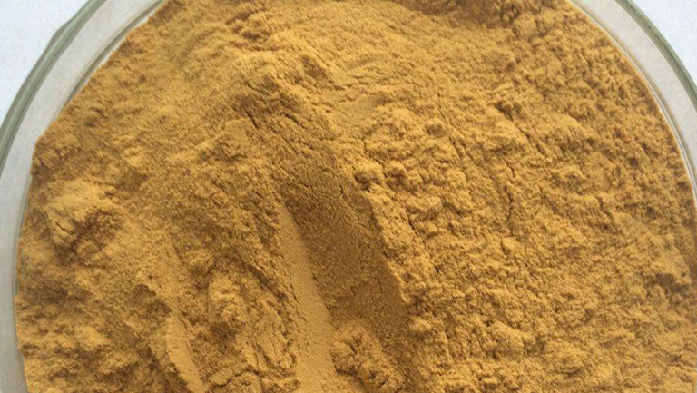 鳖甲粉的功效与作用、禁忌和食用方法