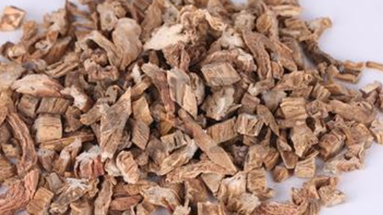 蜜百部的功效与作用、禁忌和食用方法