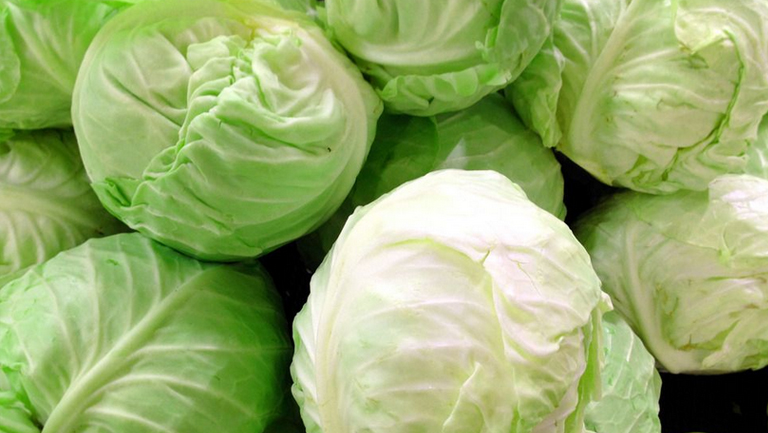 洋白菜的功效与作用、禁忌和食用方法