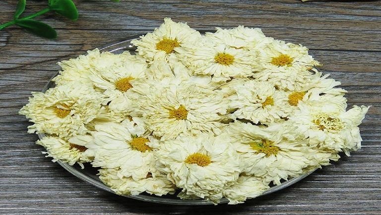 贡菊的功效与作用、禁忌和食用方法