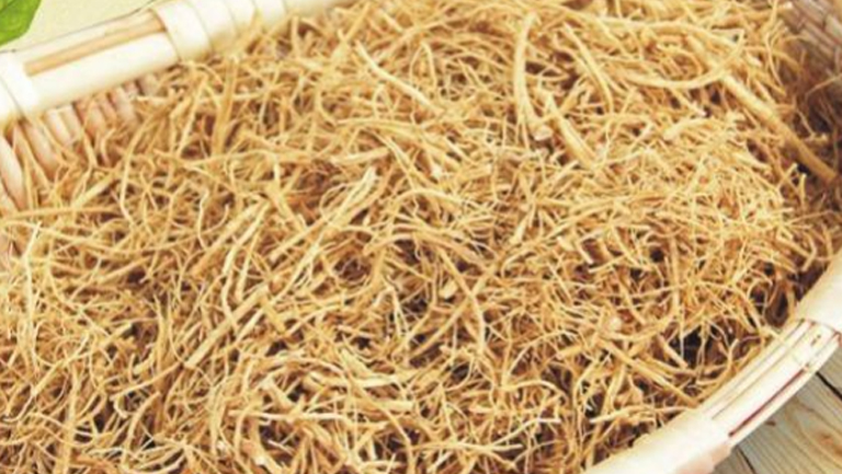 西洋参须的功效与作用、禁忌和食用方法