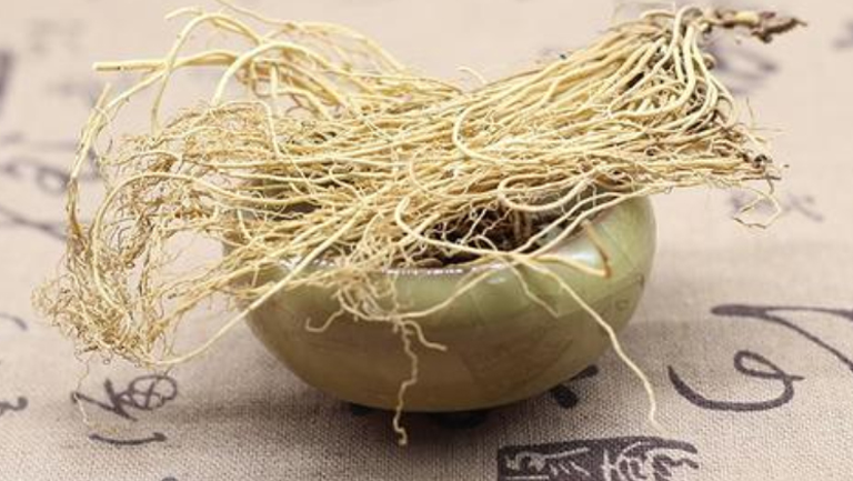白细辛的功效与作用、禁忌和食用方法
